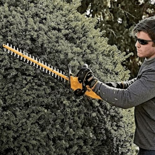 Aparador Cerca Viva 22" 20v Max Li-Ion Brs DCHT820B-B3 DeWalt