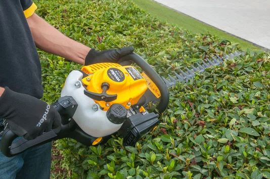 Aparador de Cerca Viva a Gasolina ACV225 22,5CC Vonder