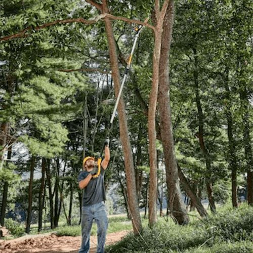 Podadora 20v Max DCPS620B-B3 DeWalt