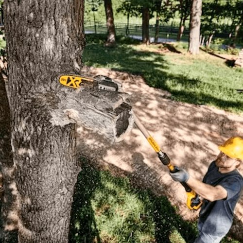 Podadora 20v Max DCPS620B-B3 DeWalt