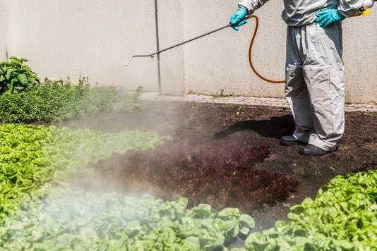 Pulverizador Costal Agrícola 25 L a Gás Vonder