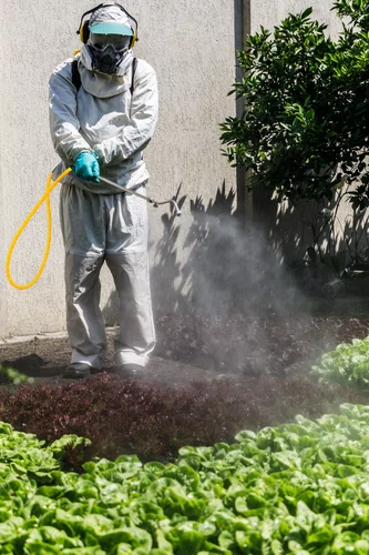 Pulverizador Costal Agrícola 25 L a Gás Vonder