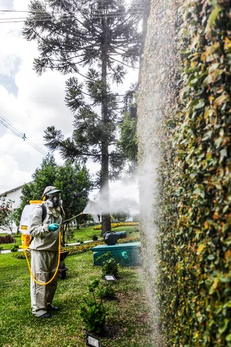 Pulverizador Costal Agrícola 25 L a Gás Vonder