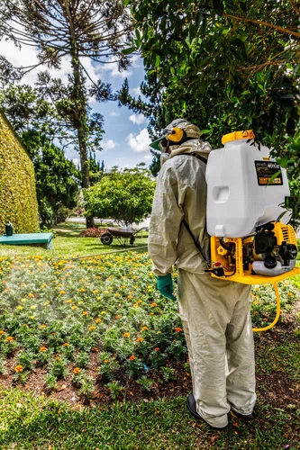 Pulverizador Costal Agrícola 25 L a Gás Vonder
