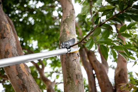 Tesoura para Poda de Árvore 1,8 a 3m Vonder
