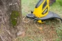 Aparador de Grama Elétrico 1000W 220V AGV1000 Vonder