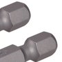 Ponta Torx 2" Tx15 2 Peças DWA2TX15-2L DeWalt