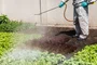 Pulverizador Costal Agrícola 25 L a Gás Vonder