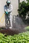 Pulverizador Costal Agrícola 25 L a Gás Vonder
