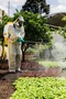 Pulverizador Costal Agrícola 25 L a Gás Vonder