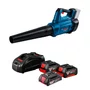 Soprador de Folhas 18V Bosch GBL 18V-750 + Carreg e 2 Baterias 4Ah + Bateria 2Ah de Brinde