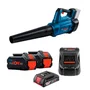 Soprador de Folhas 18V Bosch GBL 18V-750 + Carreg e 2 Baterias 8Ah ProCORE + Bateria 2Ah de Brinde